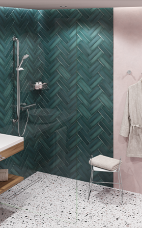 Duschhandlauf mit Brausehalterstange