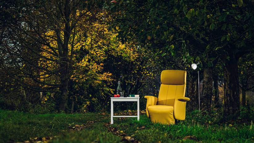 Mileubild mit Relaxsessel im Garten vor großen Bäumen